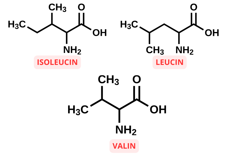 Molekylstrukturer for BCAA leucin, isoleucin og valin
