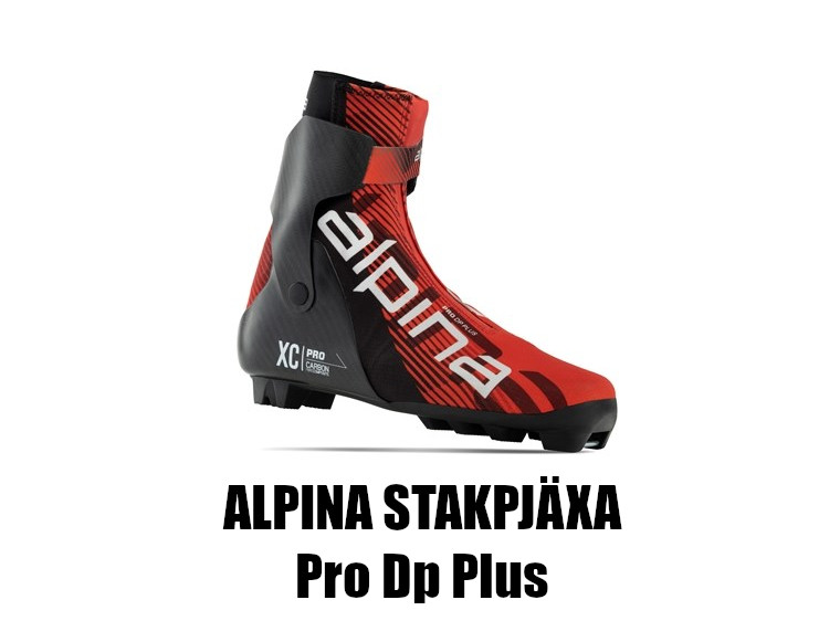 Egen stakesko: Alpina Pro Classic DP