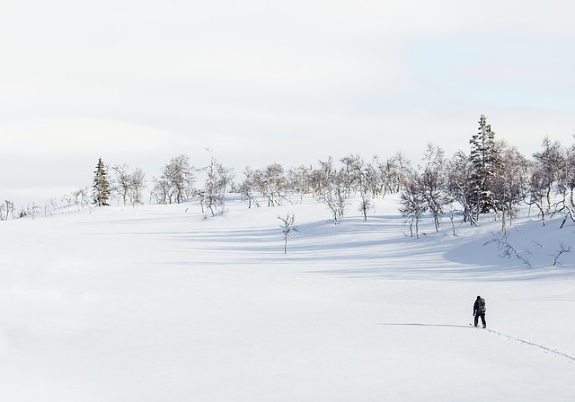 Skiutstyr på salg